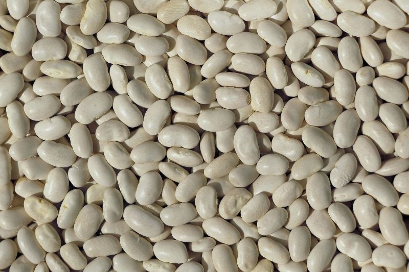 gelezis pupeles