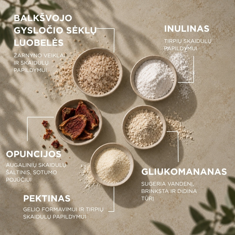 skaidulų kompleksas sotumo jausmui ir svorio kontrolei OXANTIN® MED Assorbikal Fibre