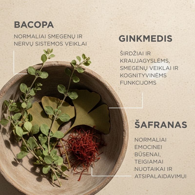 Maisto papildas su šafranu, bacopa ir ginkmedžiu Positive Focus & Memory