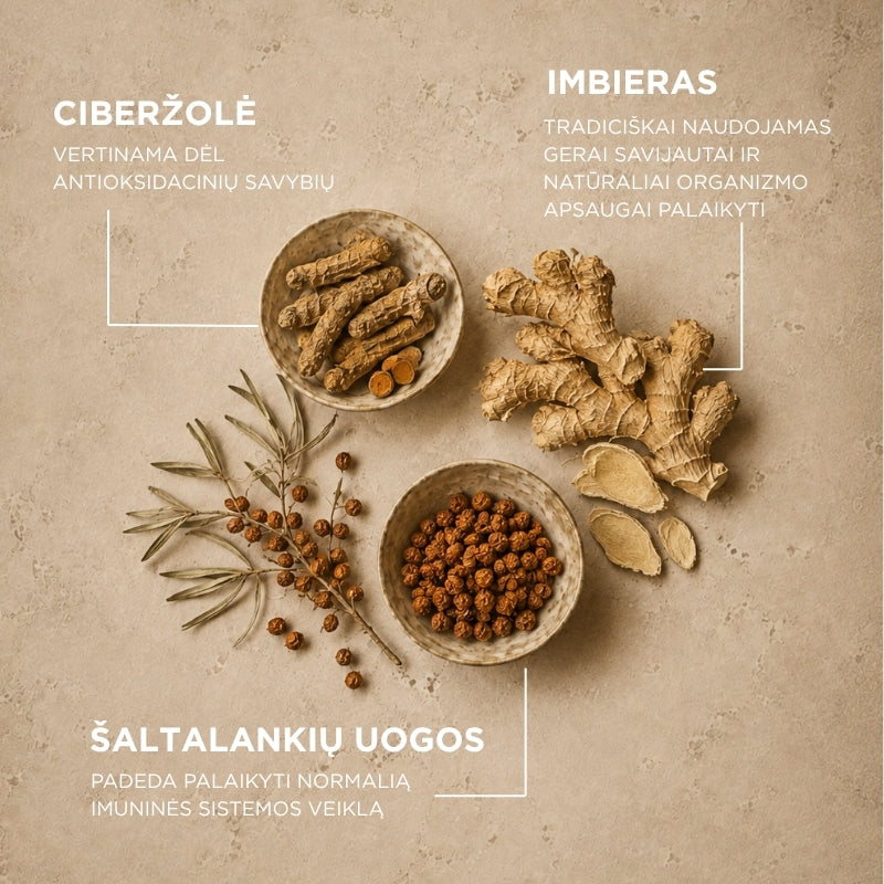 papildas imunitetui su šaltalankiais, bierzole ir imbieru immyoo