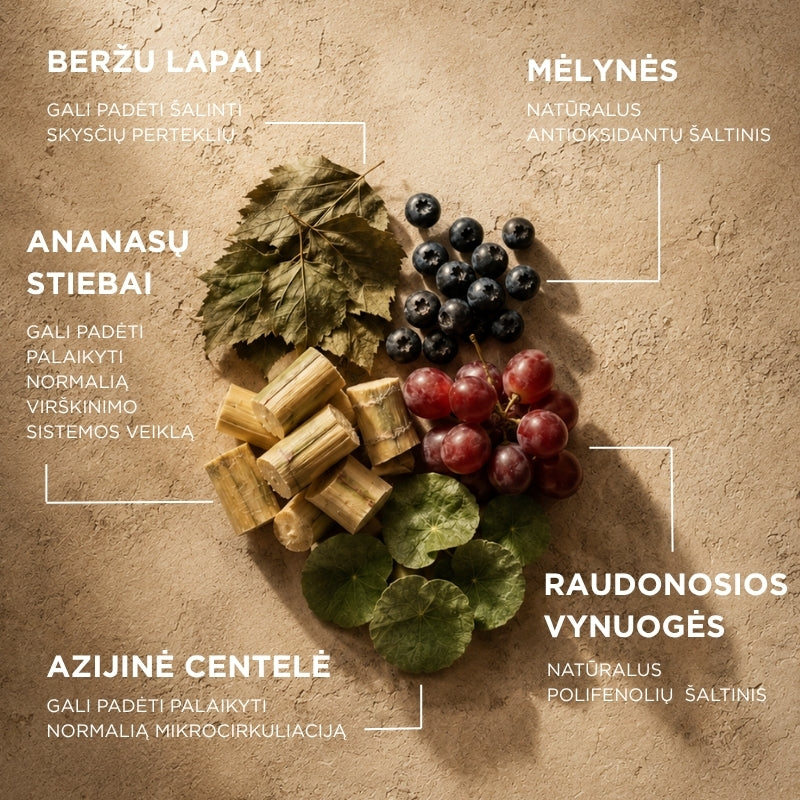 maisto papildas detoksikacijai ir celiulitui drenlife linfodren ingredientai