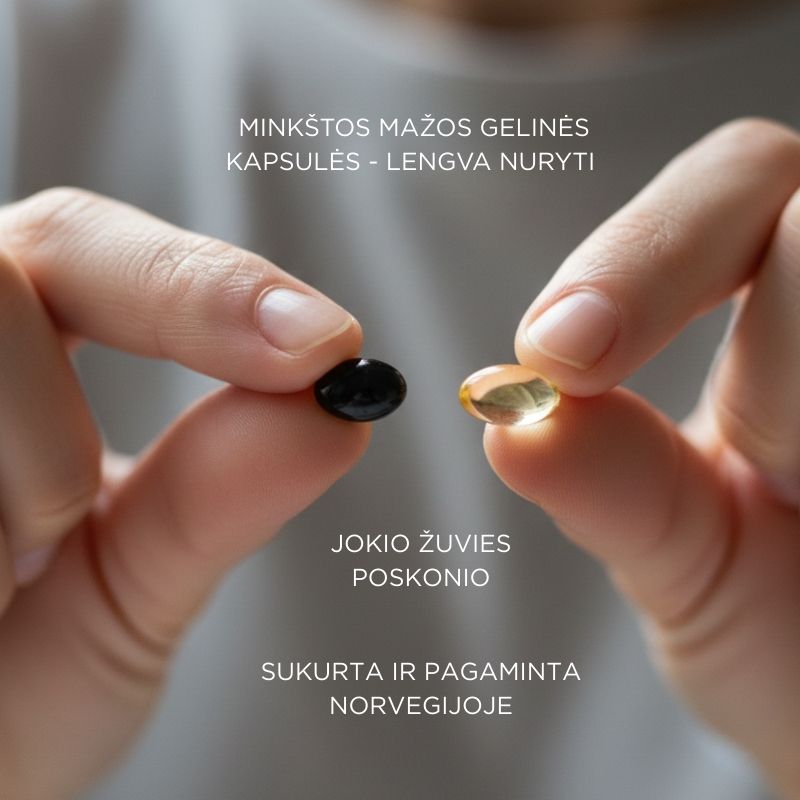 RINKINYS CHOLESTEROLIUI (žuvų taukai + mėlynių ekstraktas)