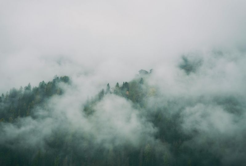 Smegenų rūkas: kas tai, kodėl jis atsiranda ir ką sako mokslas?