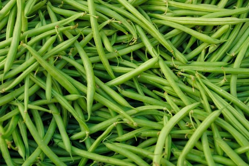 sparagines pupeles b grupes vitaminai