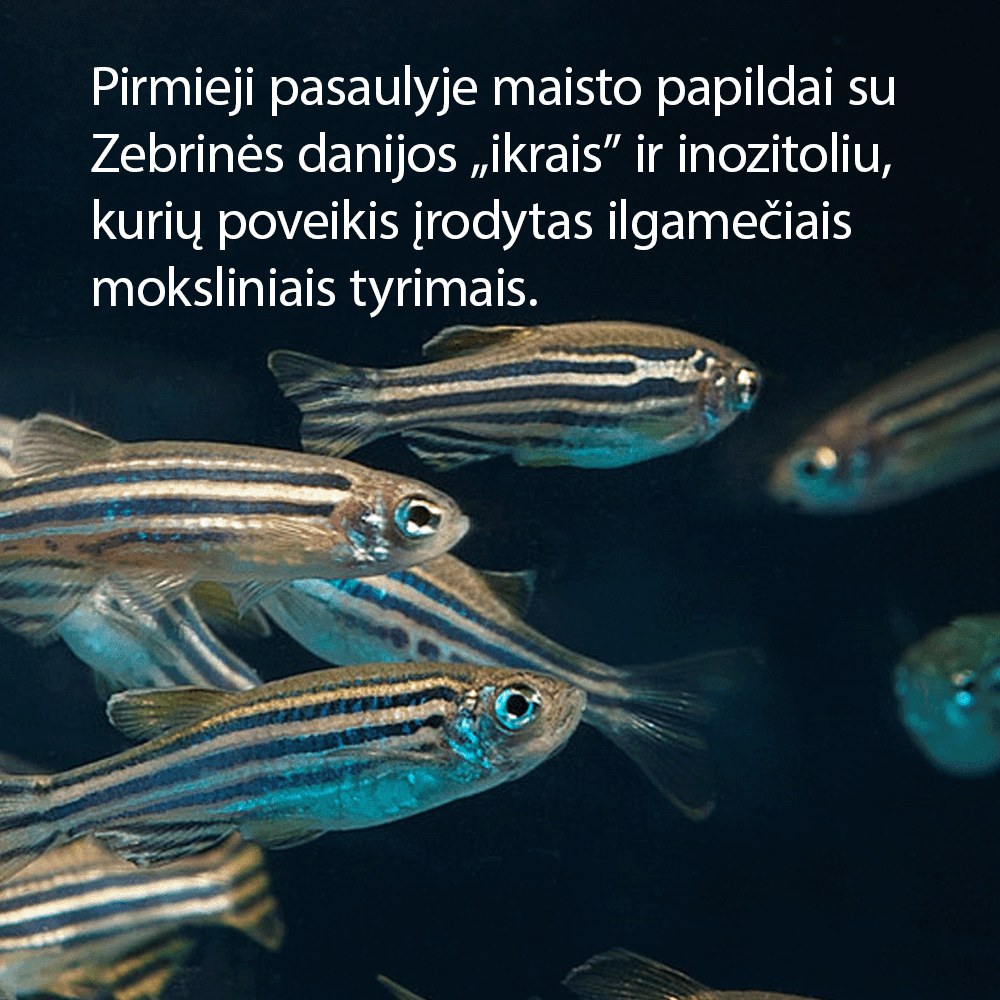 Rinkinys ilgaamžiškumui