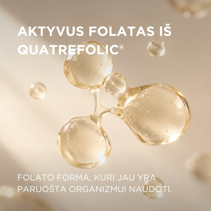 Mikroenkapsuliuota geležis su folatais Ferrolin C® Naturcaps 