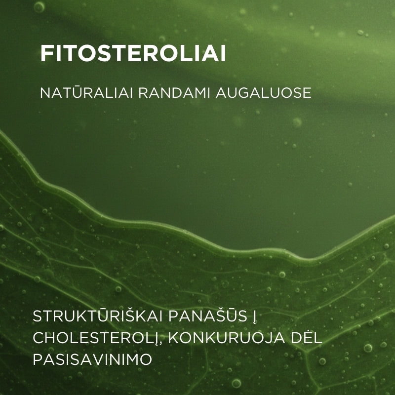 Žuvų taukai su fitosteroliais CARDIO HEART OMEGA-3