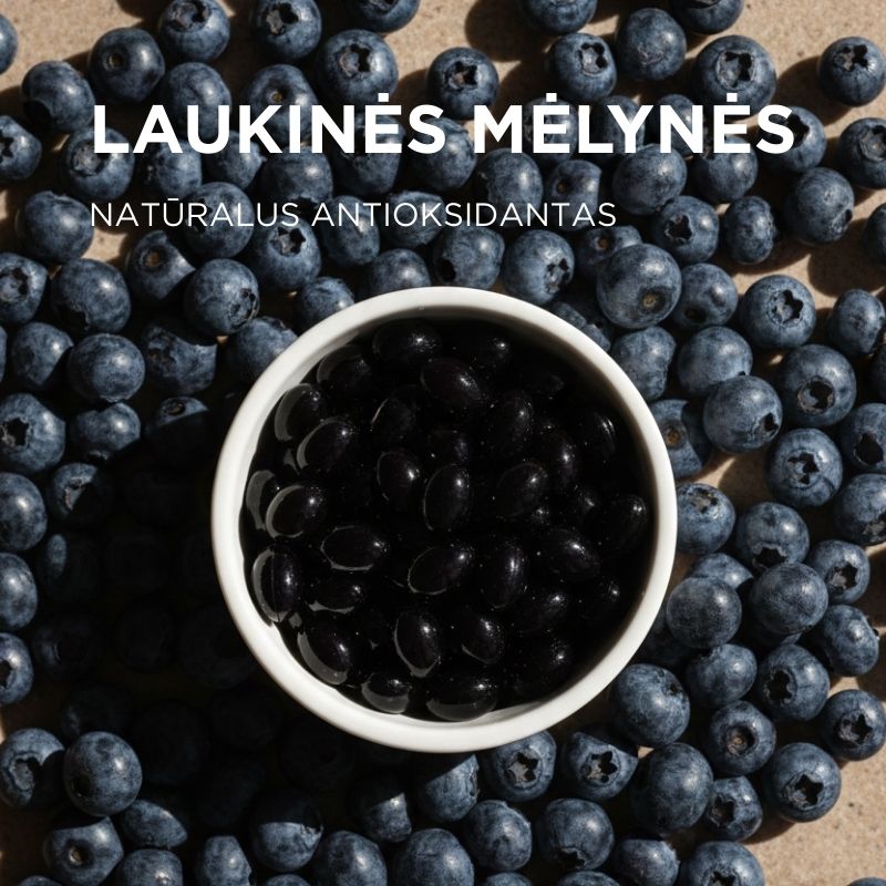 RINKINYS CHOLESTEROLIUI (žuvų taukai + mėlynių ekstraktas)