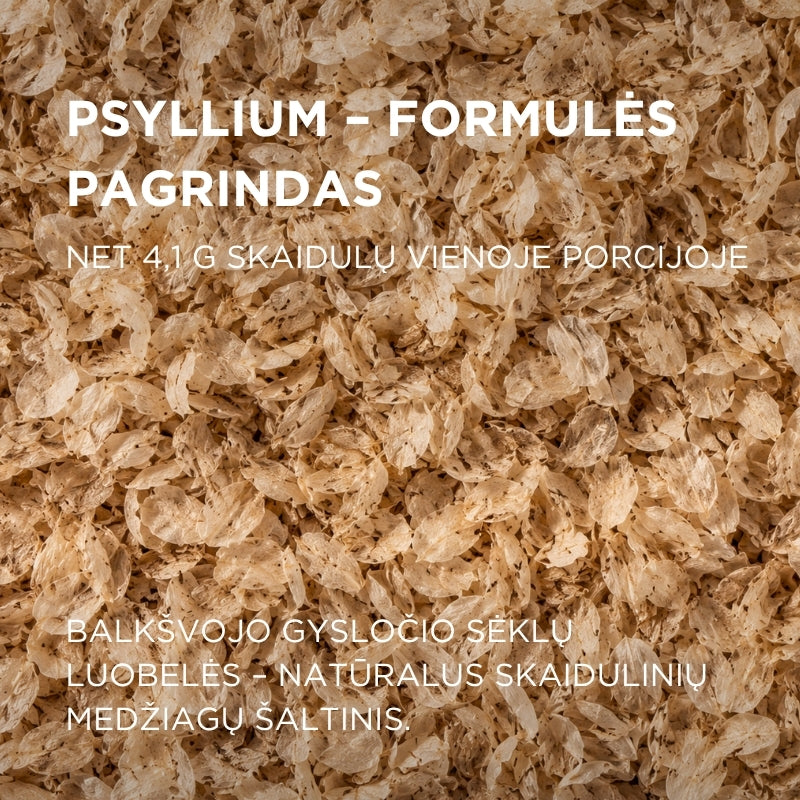 Maisto papildas su psyllium skaidulomis žarnynui ir virškinimui Le dieci erbe® gel psillio
