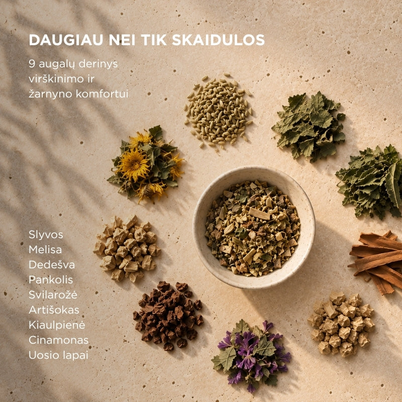 Maisto papildas su psyllium skaidulomis žarnynui ir virškinimui Le dieci erbe® gel psillio