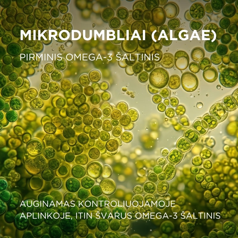 Omega-3 iš mikrodumblių (Algae) NOVOMEGA™