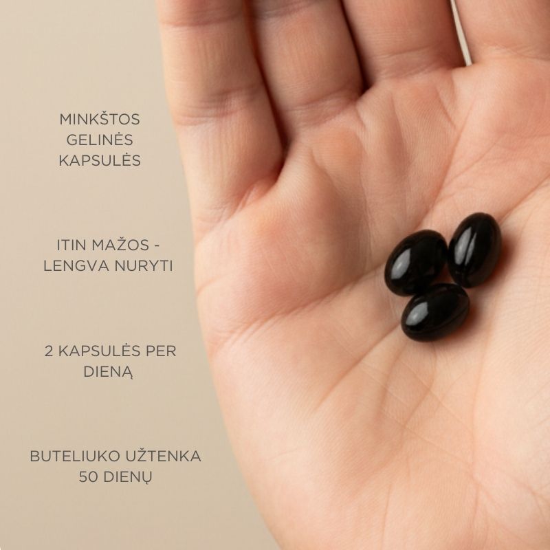 Mėlynių ekstraktas NORDIC EXTRACT BILBERRY